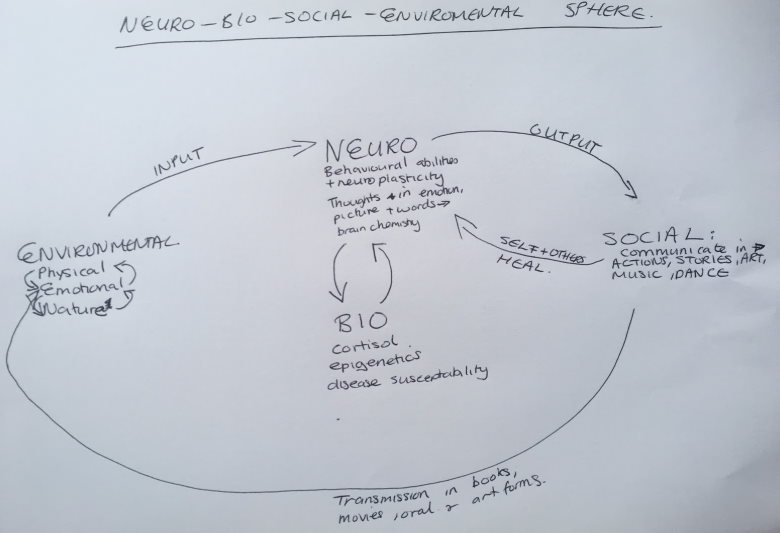 The neuro-bio-social-environmental sphere